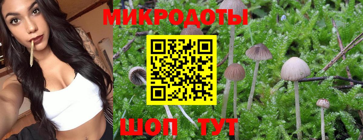 Псилоцибиновые грибы ЛСД Воркута