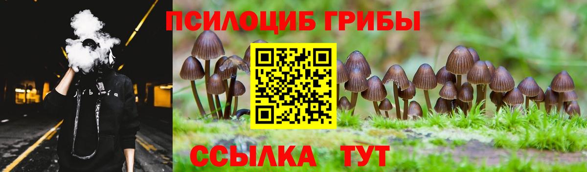 Воркута  Псилоцибиновые грибы прущие грибы  Вход с VPN 
